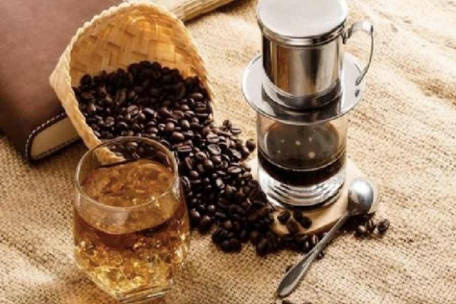 Cà phê được trồng nhiều nhất ở tình nào nước Việt Nam ta?