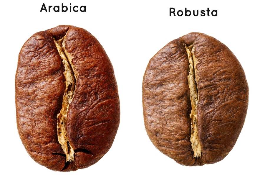 Cách phân biệt các loại cà phê trên thế giới