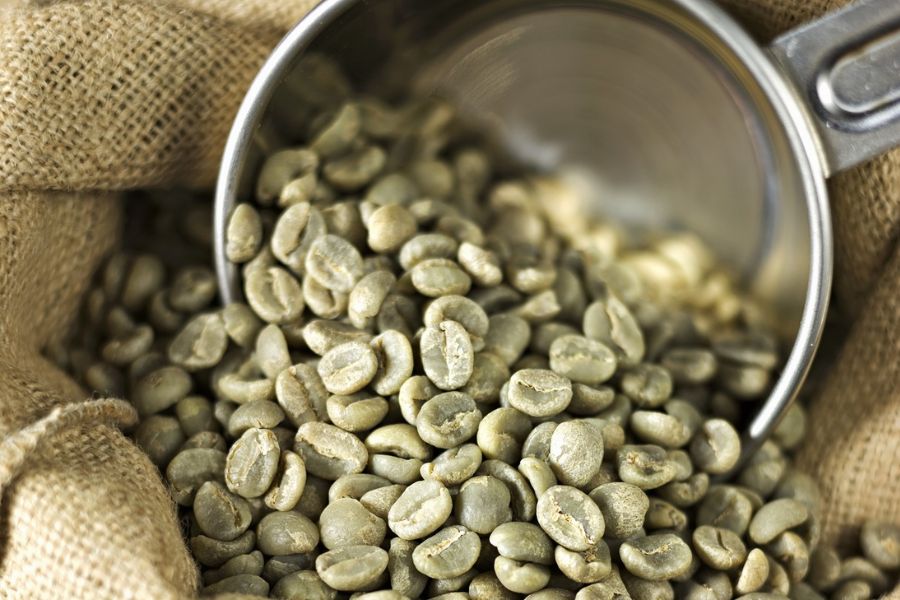 Giá cà phê hạt chưa rang, cà phê nhân sống Robusta chất lượng cao