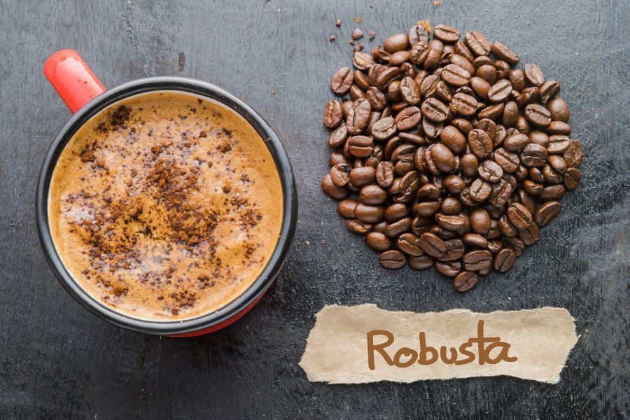 Giá cà phê Robusta cập nhật mới nhất tại Gia Lai