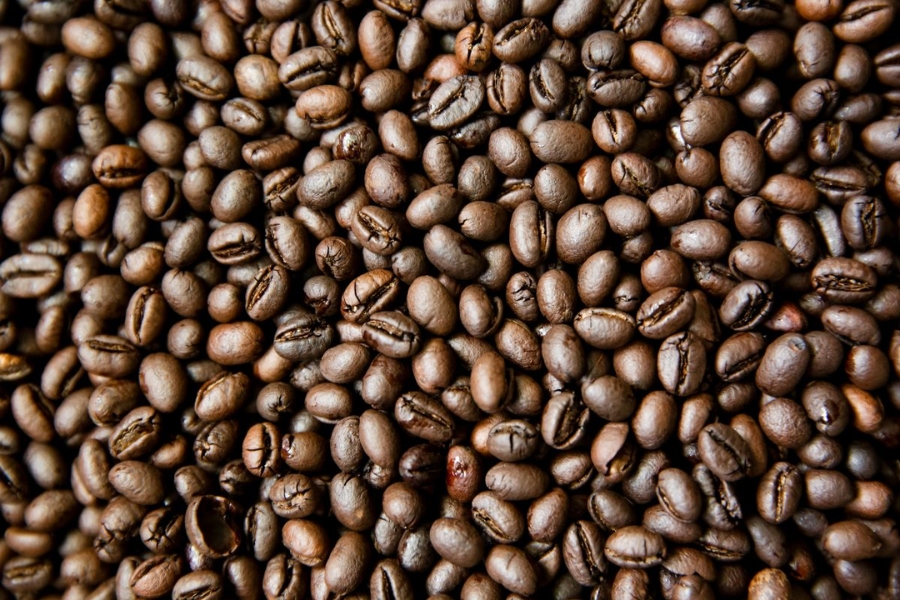 Tìm hiểu về những hạt cà phê ngon nhất Việt Nam
