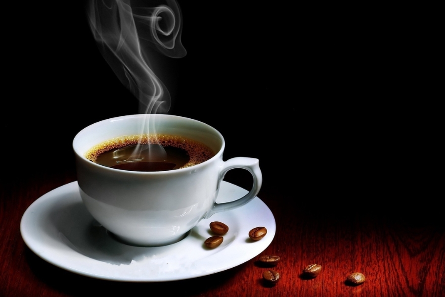 Cà phê chồn nhân tạo - Giải pháp thay thế hoàn hảo cho cà phê chồn truyền thống