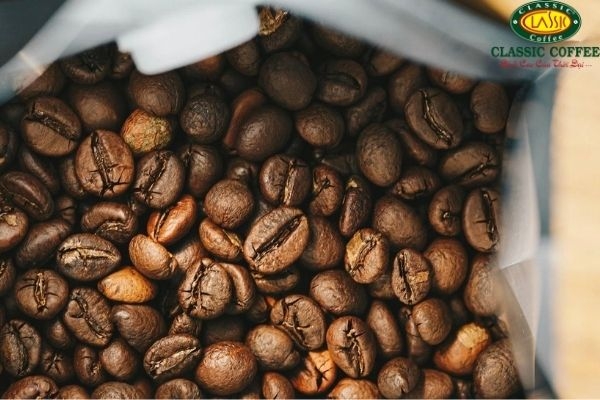 Giới thiệu cà phê Arabica | Cà phê nguyên chất Gia Lai