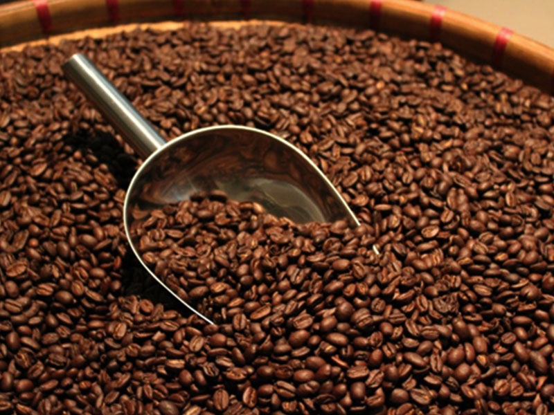 Hé lộ bí mật đáng sợ về nguồn gốc của cà phê