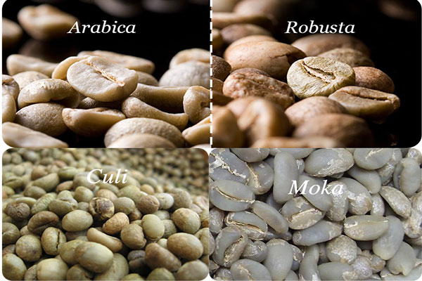 Kinh nghiệm phân biệt các loại cà phê hạt phổ biến của Classic Coffee