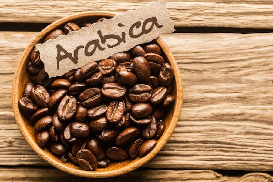 Mua cà phê Arabica ở đâu nguyên chất, giá tốt?