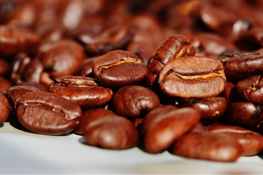 Mua cà phê Cầu Đất – Sự lựa chọn số 1 của dân chuyên