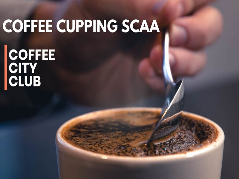 Những điều cần biết về Cupping cà phê