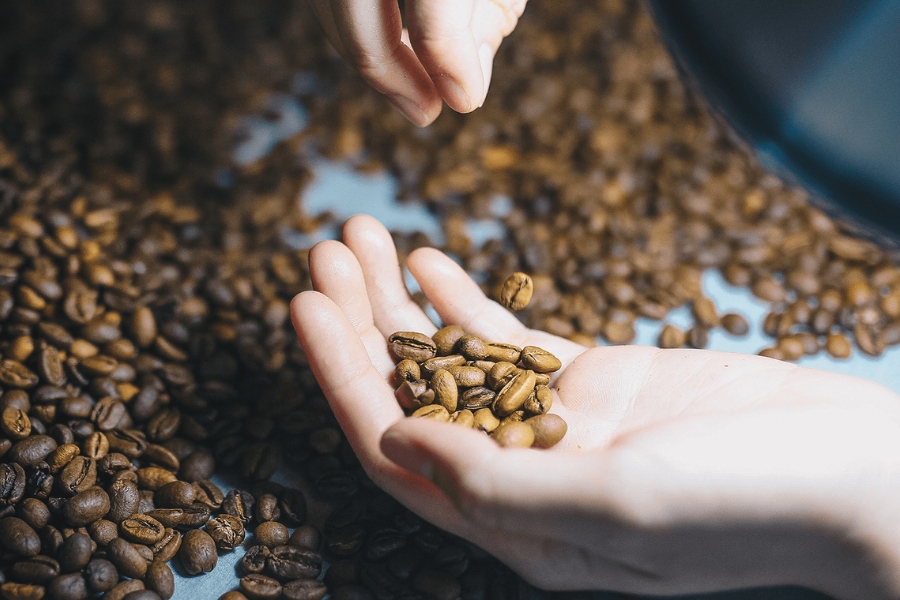 Phân biệt hình thức và hương vị của các loại hạt cafe